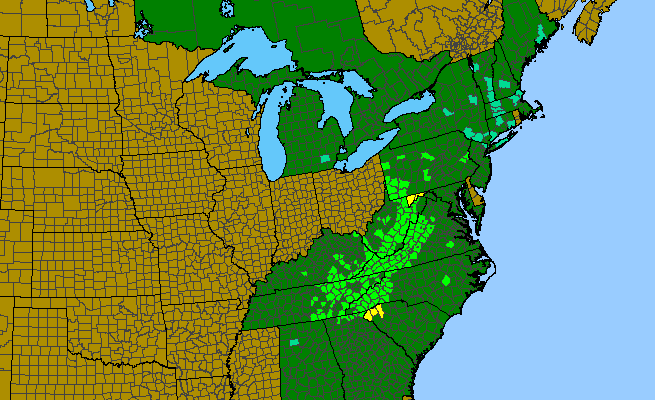 The range of Isotrema macrophyllum